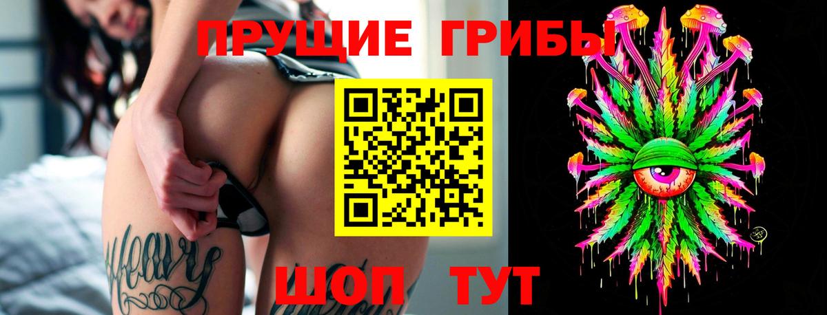 Добрянка  Псилоцибиновые грибы MAGIC MUSHROOMS  Вход с VPN 